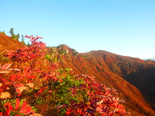 2019.11.2 平ケ岳登山!_a0236914_10365042.jpg