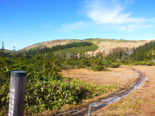 2019.11.2 平ケ岳登山!_a0236914_10373961.jpg