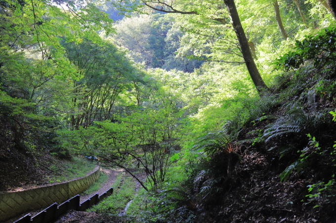 f0348831_23434167.jpg