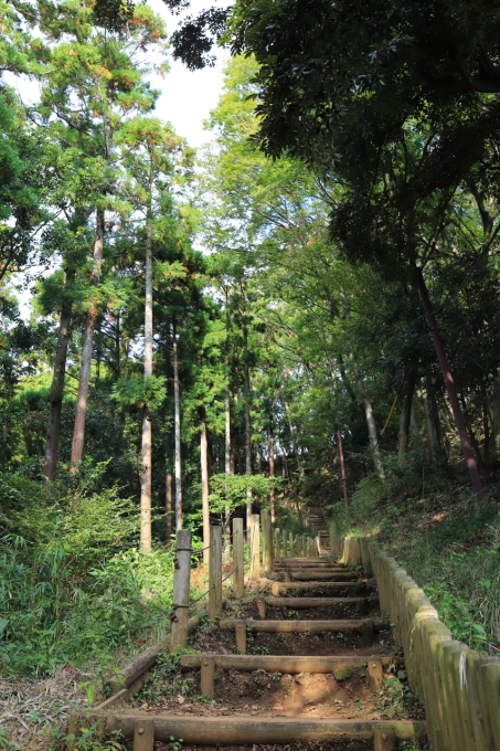 f0348831_23442255.jpg