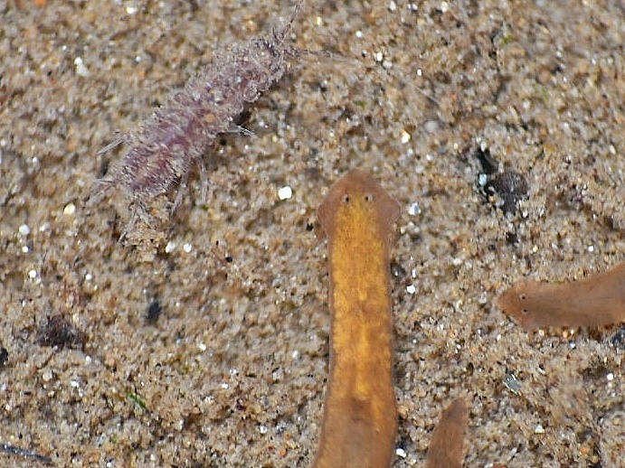 f0340732_20551349.jpg