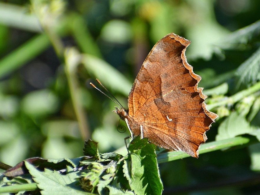 f0340732_20570135.jpg