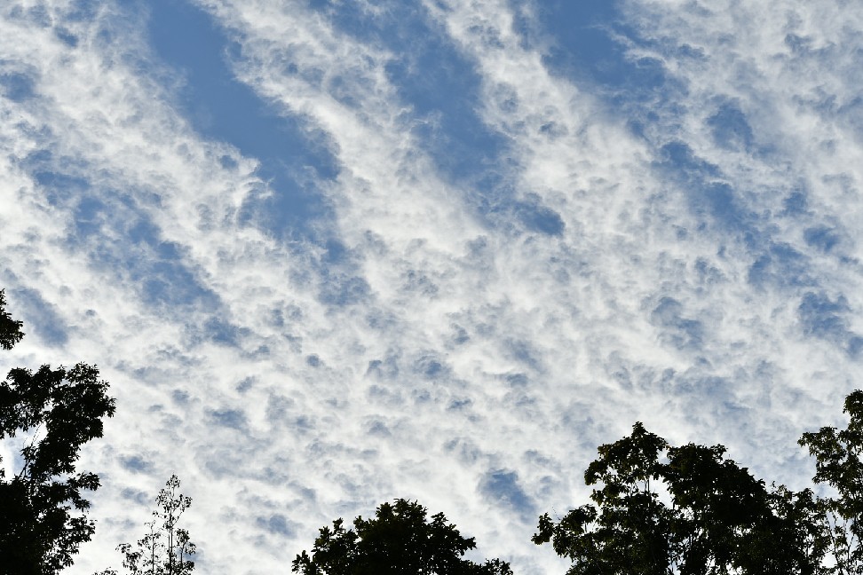 f0340732_20591818.jpg