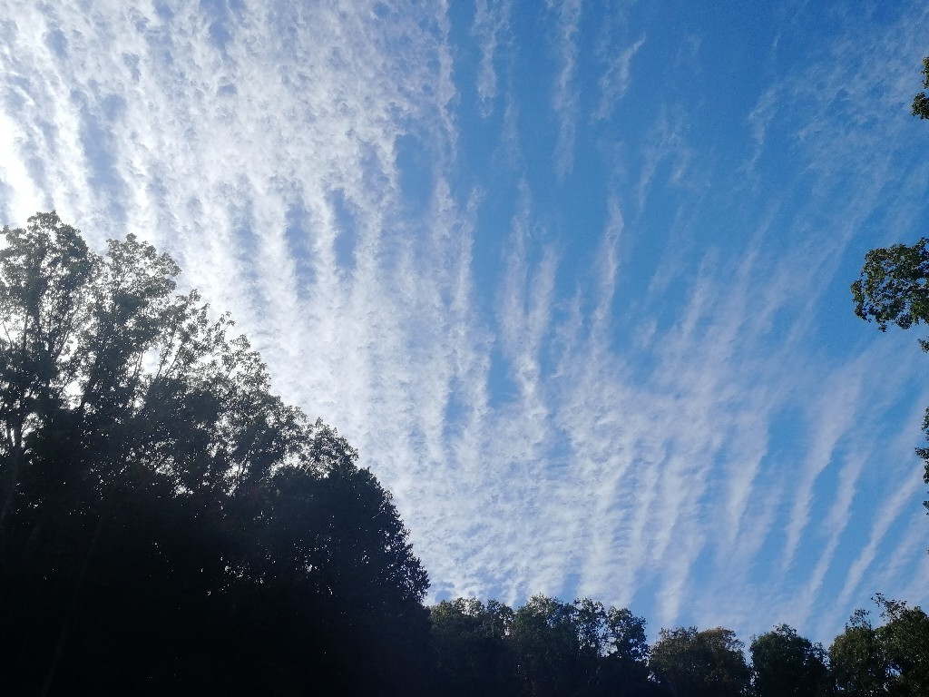 f0340732_23092333.jpg