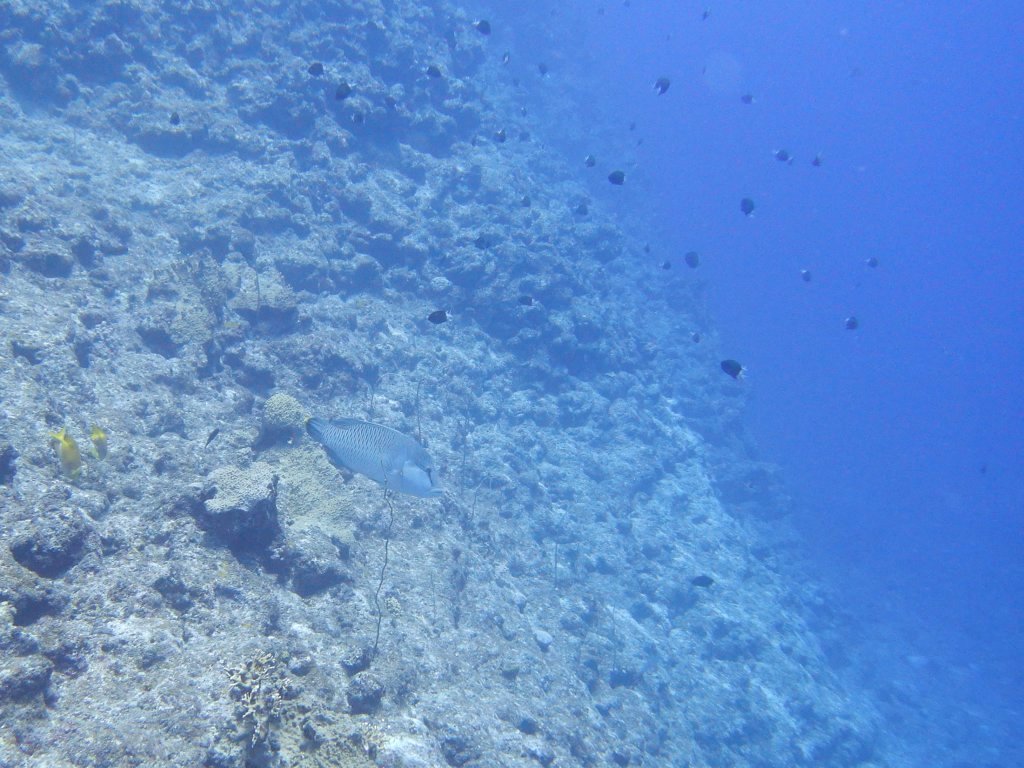 黒島を満喫~☆_a0189838_08160456.jpg