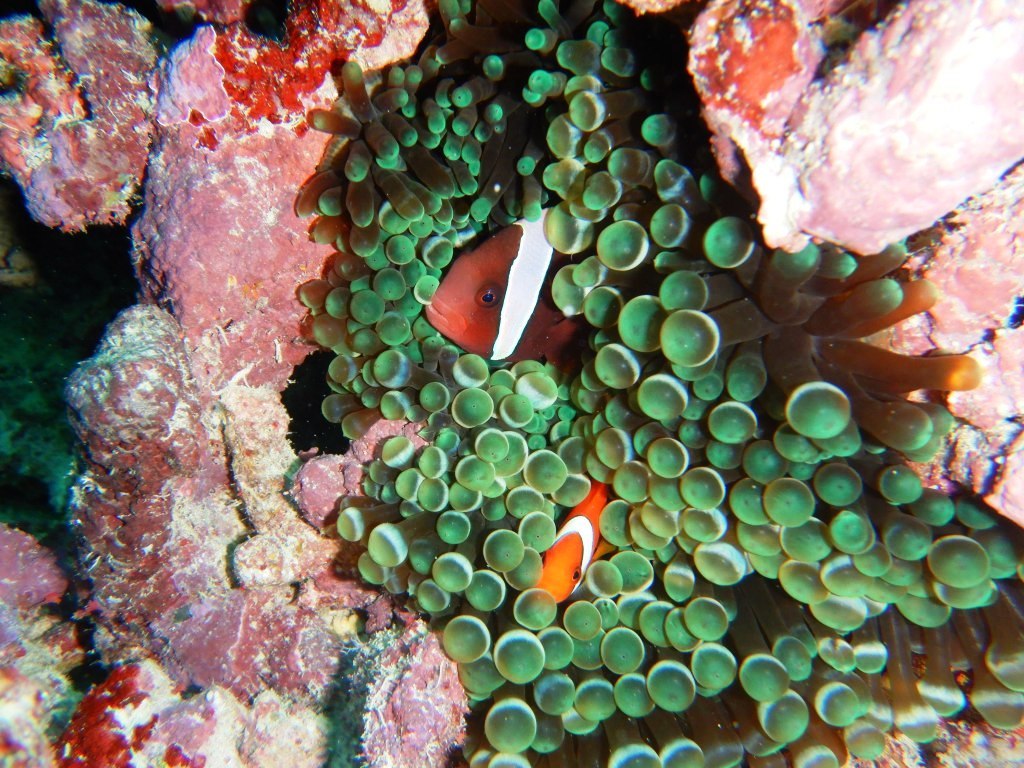 a0189838_14553231.jpg