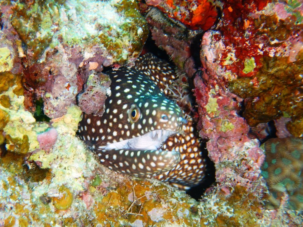 a0189838_14570199.jpg