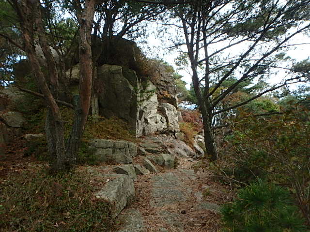 長峰山　支尾根　おじさんの冒険_f0334143_2024440.jpg