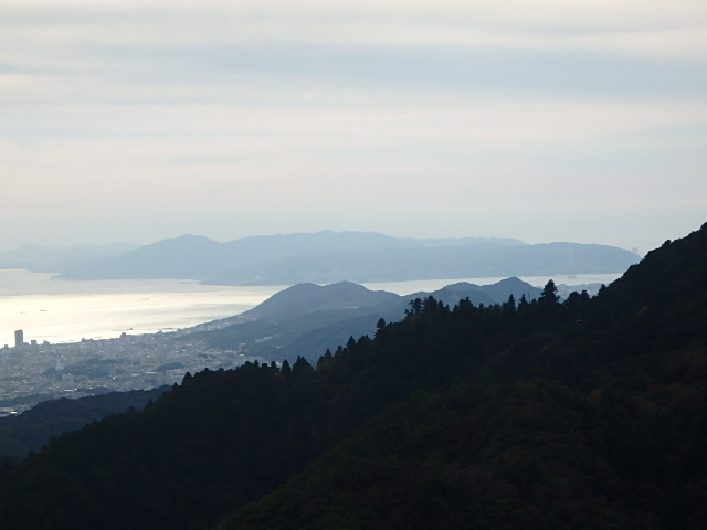 長峰山　支尾根　おじさんの冒険_f0334143_206281.jpg