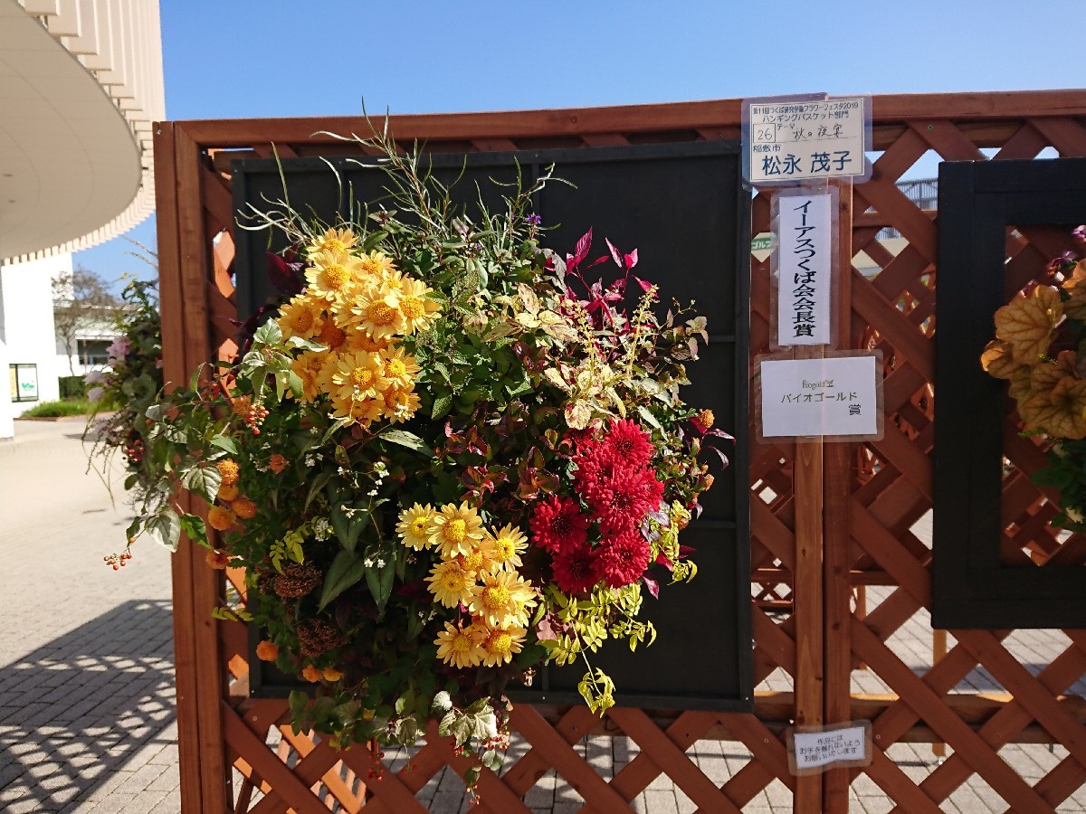 f0323446_21230925.jpg
