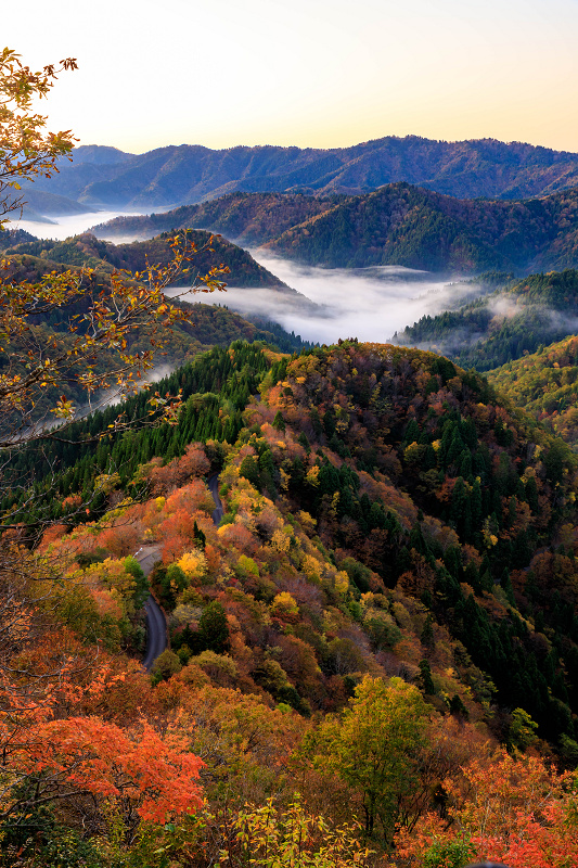 紅葉が彩る滋賀2019 小入谷の雲海と紅葉 : 花景色－K.W.C. PhotoBlog