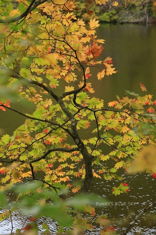 c0145250_10424290.jpg