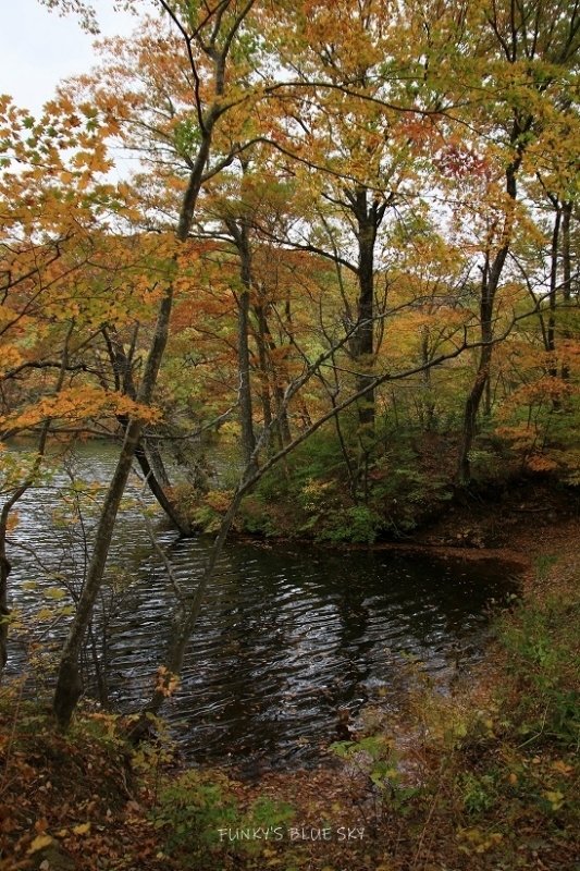 c0145250_10425530.jpg
