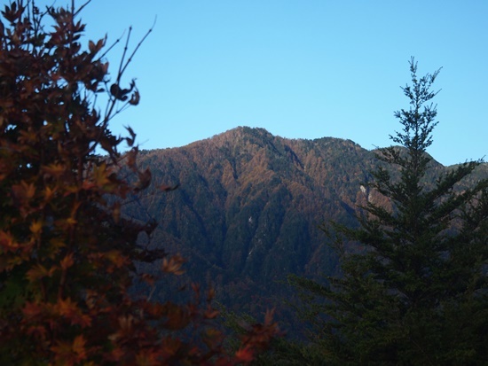 中央アルプス前衛 烏帽子岳(2,195m) 2019年10月28日_b0319255_14213484.jpg