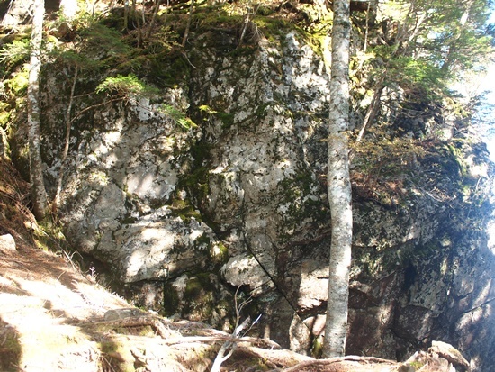 中央アルプス前衛 烏帽子岳(2,195m) 2019年10月28日_b0319255_18261700.jpg