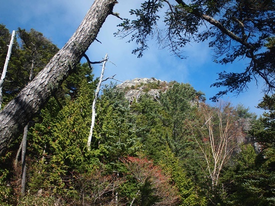 中央アルプス前衛 烏帽子岳(2,195m) 2019年10月28日_b0319255_18464352.jpg