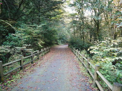 菊池、阿蘇スカイラインの、2019年の紅葉は今週末が見ごろ!菊池渓谷ビューポイント&穴場スポット紹介!_a0254656_18414635.jpg