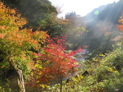 菊池、阿蘇スカイラインの、2019年の紅葉は今週末が見ごろ!菊池渓谷ビューポイント&穴場スポット紹介!_a0254656_19130547.jpg