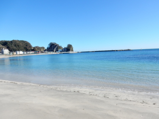 ’19,11,13(水)興津の海散歩と小雪ちゃんは目が命!_f0060461_10330451.jpg