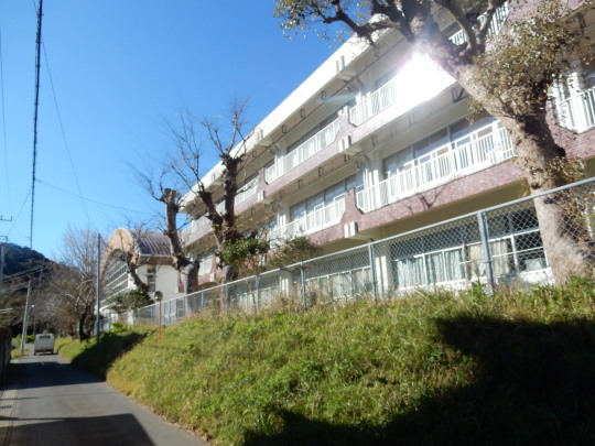 ’19,11,13(水)興津の海散歩と小雪ちゃんは目が命!_f0060461_10452015.jpg