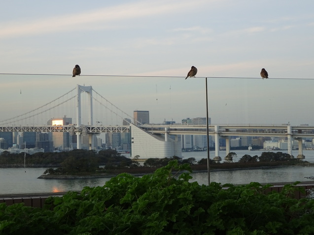 「シースケイプ」の朝食＠「ヒルトン東京お台場」_b0405262_2016025.jpg