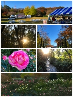智光山公園 わくわく公園まつりありがとうございました!_a0087471_23032595.jpg