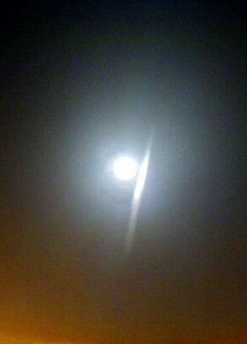d0053294_00100101.jpg