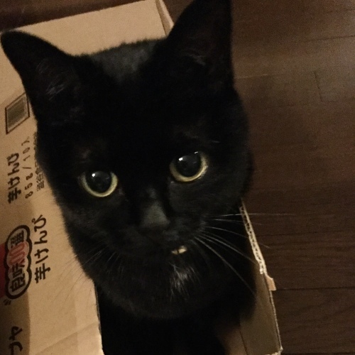 体力温存_e0358096_18112062.jpeg