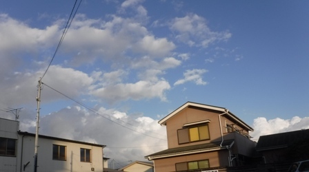 2019・11・月13日　　雨あがる・かき揚げとお浸し_c0342697_23215073.jpg