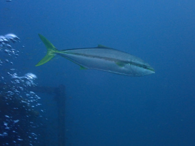 e0115199_19342009.jpg