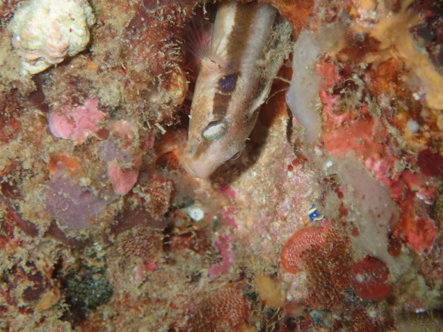e0115199_19505296.jpg