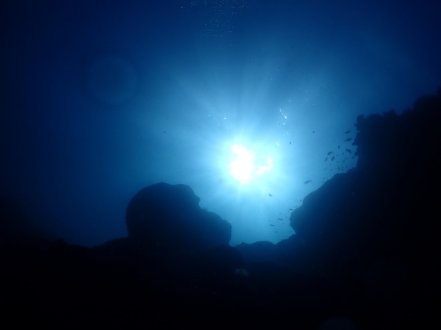 e0115199_19565849.jpg