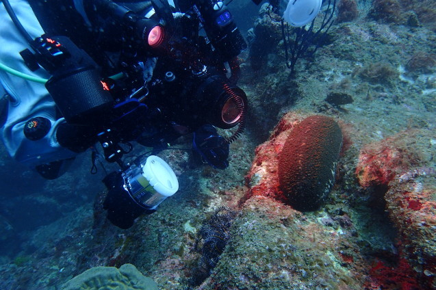 e0115199_20524037.jpg