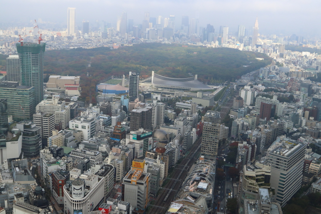 渋谷スクランブルスクエア_b0190710_21205491.jpg