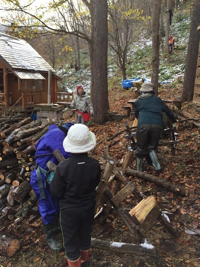 11月9日(土) 【定例】高川山林　間伐作業他_c0173813_13501049.jpg