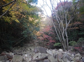 御在所岳・本谷から鈴鹿の上高地へ(ヤブコギネット・オフ会)_c0359615_21524108.jpg