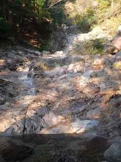 御在所岳・本谷から鈴鹿の上高地へ(ヤブコギネット・オフ会)_c0359615_21525555.jpg