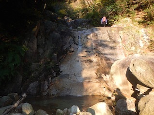 御在所岳・本谷から鈴鹿の上高地へ(ヤブコギネット・オフ会)_c0359615_21530603.jpg