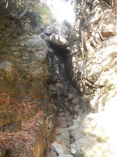 御在所岳・本谷から鈴鹿の上高地へ(ヤブコギネット・オフ会)_c0359615_21531703.jpg
