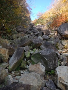 御在所岳・本谷から鈴鹿の上高地へ(ヤブコギネット・オフ会)_c0359615_21540706.jpg