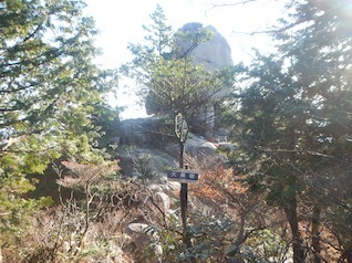 御在所岳・本谷から鈴鹿の上高地へ(ヤブコギネット・オフ会)_c0359615_21543273.jpg