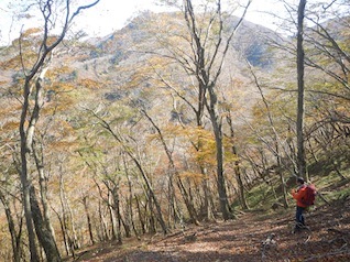御在所岳・本谷から鈴鹿の上高地へ(ヤブコギネット・オフ会)_c0359615_21553107.jpg