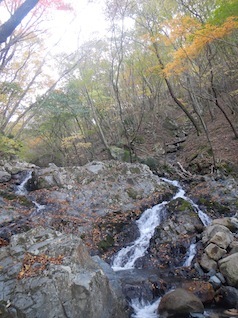 御在所岳・本谷から鈴鹿の上高地へ(ヤブコギネット・オフ会)_c0359615_21560722.jpg