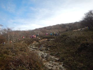 御在所岳・本谷から鈴鹿の上高地へ(ヤブコギネット・オフ会)_c0359615_21562774.jpg