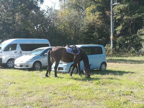 2019 やさとクラフトフェア ①_b0119617_13091863.jpg