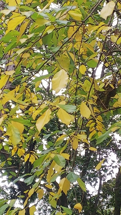a0384920_06313359.jpg