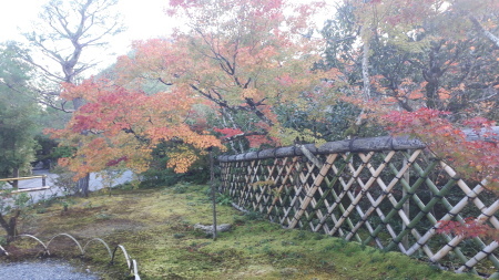 京都紅葉速報2019　光悦寺_d0106134_17533272.jpg