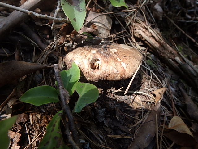 f0334143_2022286.jpg