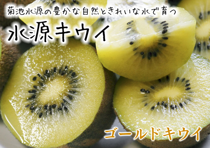 水源キウイ!令和6年度の予約販売受付スタート!完全無農薬・無化学肥料の熊本県産のキウイを11月中旬より出荷開始予定!_a0254656_17182759.jpg