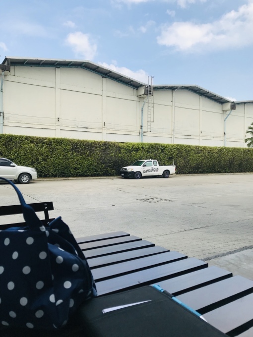 サバイ・サバイ・タイ_b0100062_15165874.jpeg